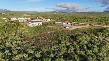500m2 Lot for Sale in Migriño, Cabo San Lucas | Owner Financing